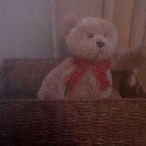 Bear and basket